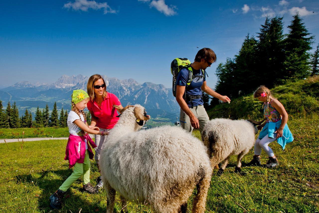 Alpenrock Appartements By Schladming-Appartements المظهر الخارجي الصورة
